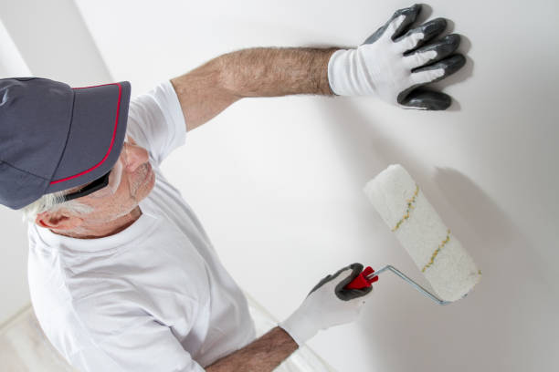 Best Black Mold Removal  in Mcewen, TN