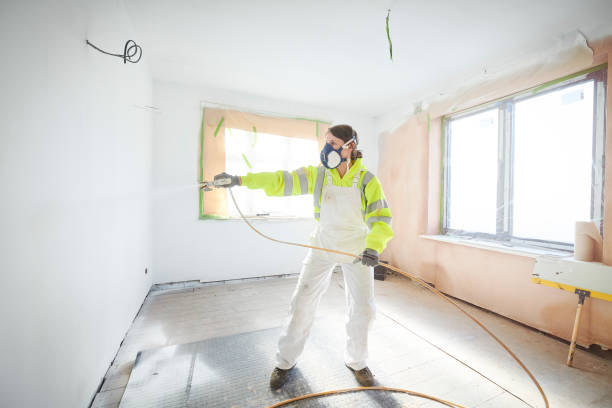 Trusted Mcewen, TN Mold Removal Experts